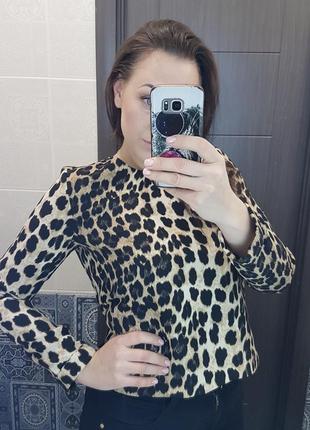Стильная леопардовая кофточка от zara1 фото