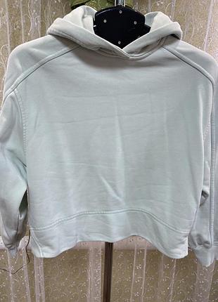 Толстовка вкорочена