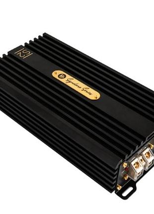 2-канальний підсилювач dls s2