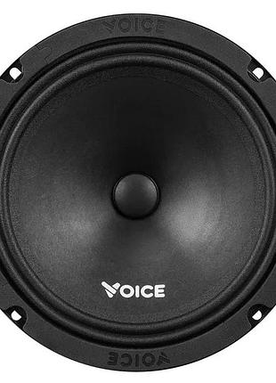 Естрадна акустика voice st-200