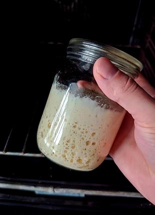 Органічна закваска для необмеженої випічки хліба