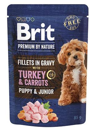 Корм влажный brit premium fillets in gravy turkey & carrots puppy для щенков малых пород филе в соусе и морковь 85 г