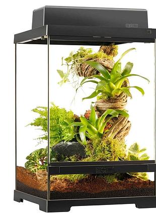 Тераріум exoterra для екзотичних тварин pro terrarium скляний 30x30x45 см