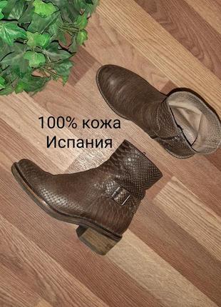 Стильные ботинки 100%кожа испания деми🥾1 фото