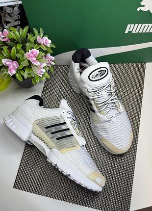 Оригинальные летние кроссовки в сетку adidas