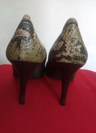 Жіночі туфлі2 фото
