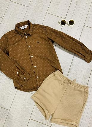 Комплект сорочка+ шорти на хлопчика 5-6 років в коричнево-бежевому кольорі