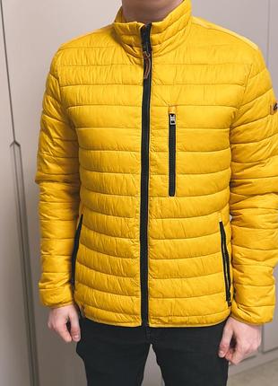 Куртка чоловіча camel active