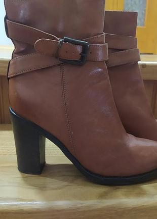 Чоботи  жiночi carol