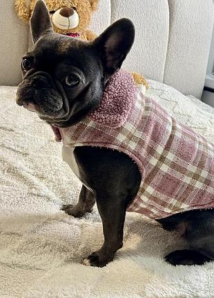 Зимова собача жилетка