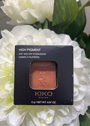 Тіні кіко сяючі 2 грами номер 109