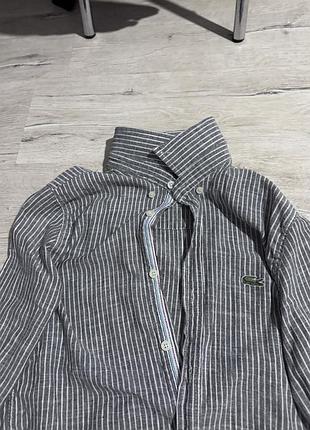 Рубашка лакоста | чоловіча рубашка лакоста | сорочка лакоста | lacosta | чоловіча сорочка