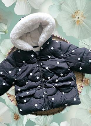 Куртка демисезонная детская 50-62см, george, 0-3месяцы, англия, стильная куртка на флисе для девочки