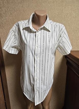 Стильная летняя рубашка dolce &amp; gabbana (vertical logo stripe)