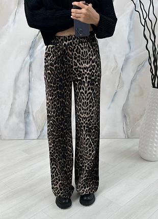Штани леопардові
