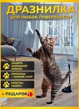 Интерактивная игрушка-дразнилка кошек на присоске and 5645