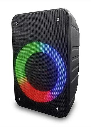 Портативная музыкальная колонка bluetooth wsieir ws-1109