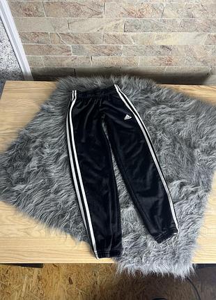 Спортивні штанці адідас