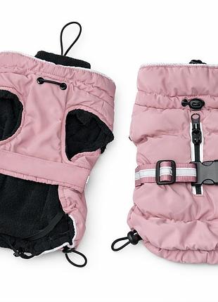 Одяг для собак