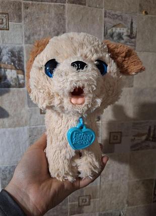 Интерактивная игрушка большой питомец веселый щенок hasbro furreal pax