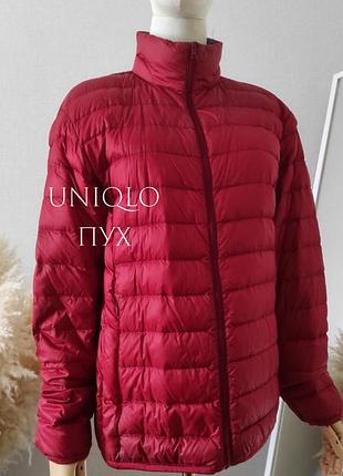 Мікропуховик uniqlo червона куртка жіноча пуховик