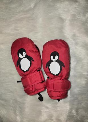 Термо рукавички lupilu