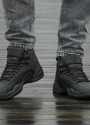 Кроссовки nike air jordan 12 5
