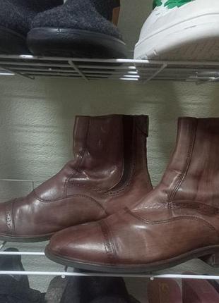 Челси кожаные casa di lusdo размер 40