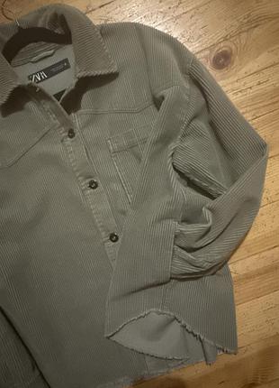 Вельветова рубашка zara 8