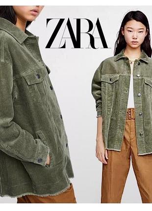 Вельветова рубашка zara 10