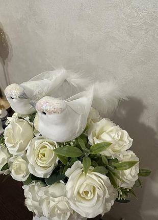 Пташки, декоративні пташки, білі пташки