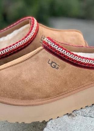 Зимові та весняні ugg tazz