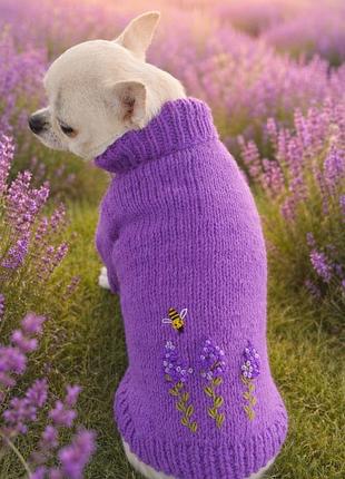 Светр на маленьку собачку