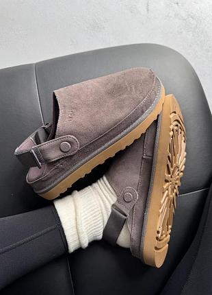 Клоги/сабо замшеві ugg goldenstar clog grey