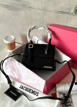 Сумка jacquemus le chiquito moyen mini