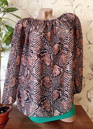 Блуза, кофта, рубашка женская ♥️♥️♥️♥️♥️