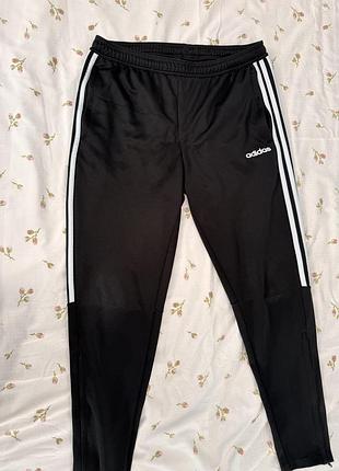 Спортивні штани adidas climalite 3-stripes