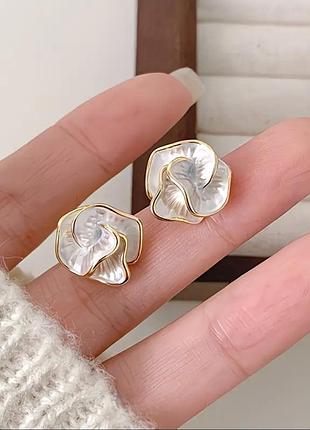 New collection 3