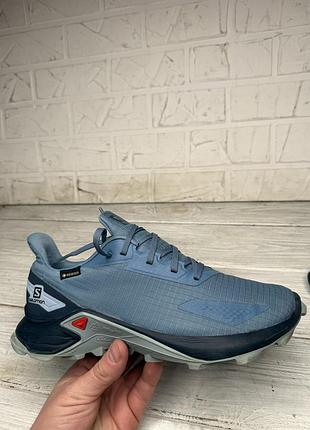 Крутые кроссовки salomon alphacross blast gtx gore-tex