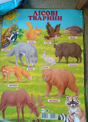 Плакат навчальний