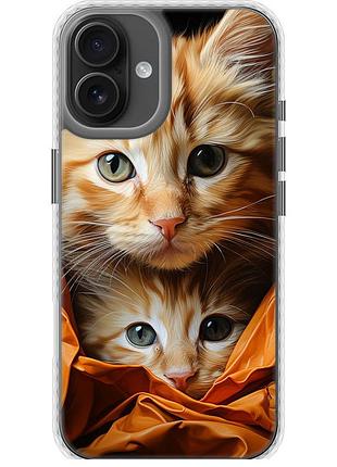 Чехол чехол bumper на телефон iphone 16 plus котики 2 "5664pc-3714-58250"