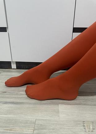 Капронові колготи