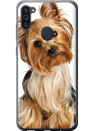 Чохол 2d пластиковий на телефон samsung galaxy m11 m115f йоркширський тер'єр із хвостиком "930t-1905-58250"