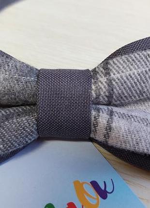 Метелик дорослий