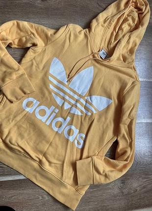Світшот adidas кофта бренд адідас худі з капюшоном