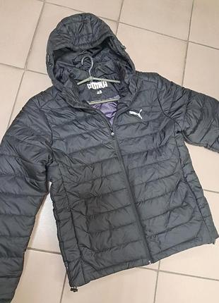 Курточка мужская демисезонная