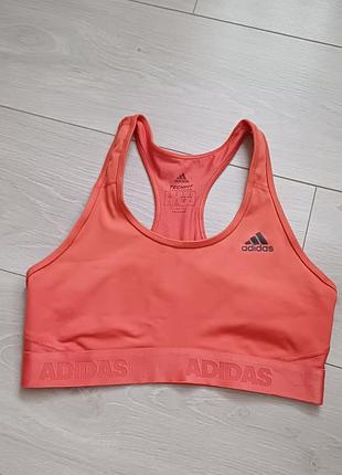 Спортивный топ стан нового adidas