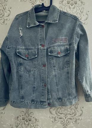 Джинсовка весняна