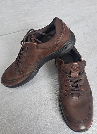 Мужские кожаные туфли ecco irving