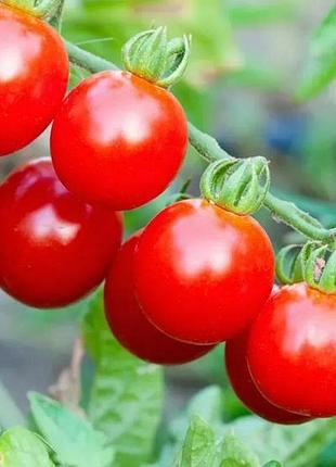 Томат боди красный тм вкусный 0.2 г